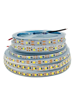 holiday light 2 SMD2835 12V/24V LED Strip Lights