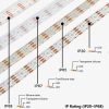 WS2815 SMD 5050 Magic RGB IC LED Strip Lights
