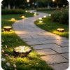 Decorative Flower Shape Solar Inground Light (10) Decorative Flower Shape Solar Inground Light