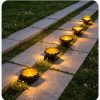 Decorative Flower Shape Solar Inground Light (9) Decorative Flower Shape Solar Inground Light